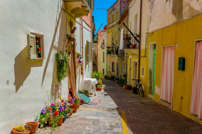 A narrow street with cream, pink and yellow buildings on San Pietro, an island in Italy. The sky is bright blue, and there are flower pots and plants lining the cobbled path.